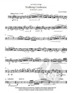 Walking Cimbrone von David Dubery 