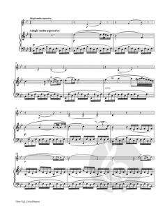Sonate in F op. 24 von Ludwig van Beethoven 