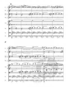 Symphonie Nr. 8 G-Dur op. 88 von Antonín Dvořák 