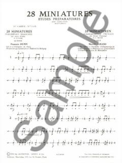 28 Miniatures (Francois Dupin) 