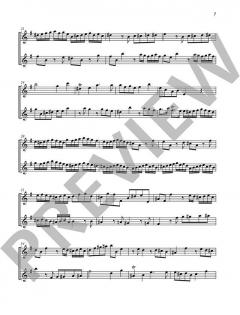 Duets for Fun 