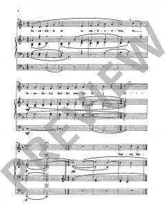Ave Maria für mittlere Stimme und Orgel von Lehmann,Markus (Download) 