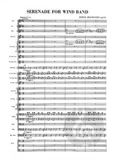 Serenade op. 22c von Derek Bourgeois 