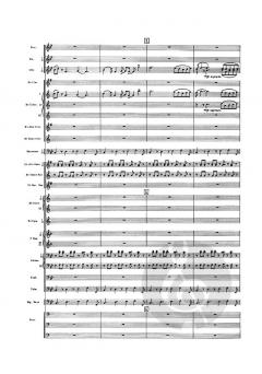 Serenade op. 22c von Derek Bourgeois 