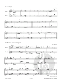 Latin Flutes 