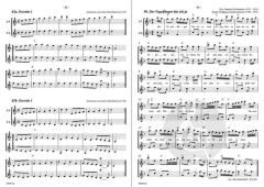 Die Altblockflöte 2 (Johannes Bornmann) 