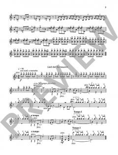 Agnes-Umspielungen von Wilfried Hiller (Download) 