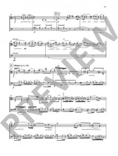 Pocket Concerto von Garth Knox (Download) 