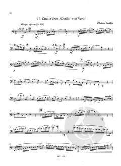 Studien über Orchesterstellen 2: 20 Studien von Zilvinas Smalys 