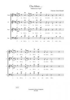 Lieder der Wachau: Mein Donautal - Üba führn von Ernst Schandl 