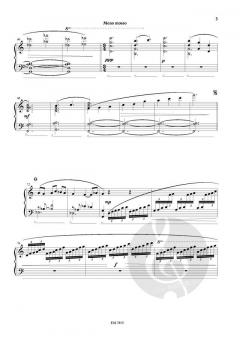 A Waltz von Nico Schoeters 