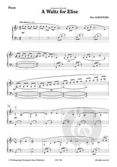A Waltz von Nico Schoeters 