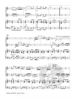 Andante and Rondo op. 25 von Franz Doppler 