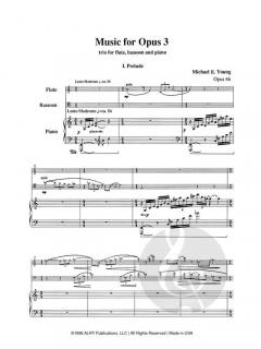 Music for Opus III von Michael E. Young 