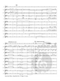 Grand Solo No. 13 von Jean-Louis Tulou 