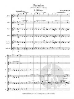 Pedazitos (Variations without a Theme) von Nancy W. Wood 