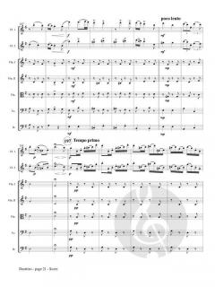 Duettino sur des Motifs Hongrois op. 36 von Franz Doppler 
