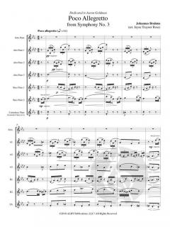 Poco Allegretto from Symphony No. 3 von Johannes Brahms 