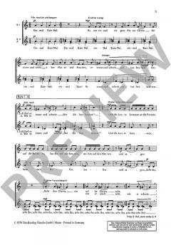 Ballade vom Clown von Erna Woll (Download) 