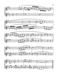 Twelve stylistic Duets von Rudy Houston 