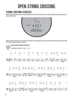 Hal Leonard Chinese Pipa Method 