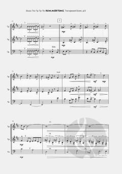 Summertime von George Gershwin 