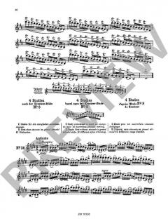 100 Technische Paraphrasen über Kreutzer-Etüden von Maxim Jacobsen (Download) 
