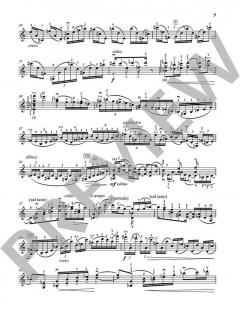 Sonate posthume op. 27bis von Eugene Ysaye 