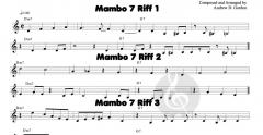 Latin Solo Series for Accordion von Andrew D. Gordon 