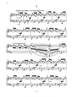 Drei Intermezzi op. 117 von Johannes Brahms 