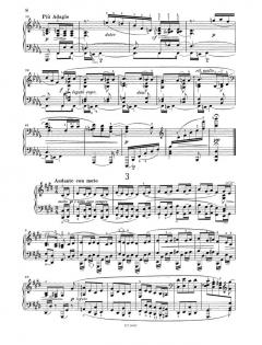 Drei Intermezzi op. 117 von Johannes Brahms 