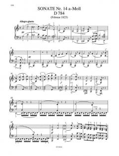 Sämtliche Klaviersonaten 2 von Franz Schubert im Alle Noten Shop kaufen