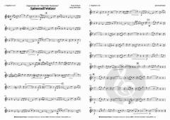 Spinnradl Walzer von Obermüller Musikanten 