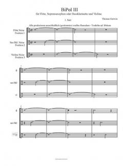 BiPol 3 von Thomas Gerwin 