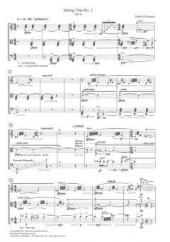 Trio no.1 von Tobias Schneid 