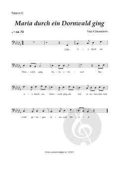 Maria durch ein Dornwald ging (Download) 