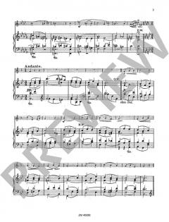 Andante religioso op. 74 von Bernhard Eduard Müller (Download) 