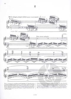 Two Elegies von Béla Bartók 