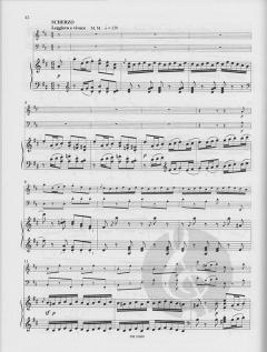 Trio d-Moll op. 49 (Felix Mendelssohn Bartholdy) 