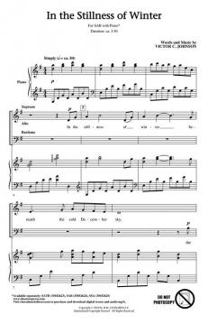 In the Stillness of Winter von Victor C. Johnson (Download) 