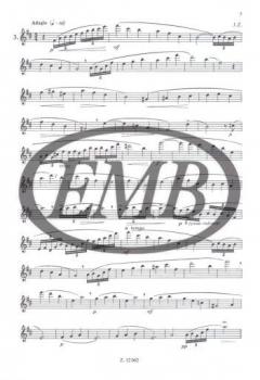 Etudes for Flute 