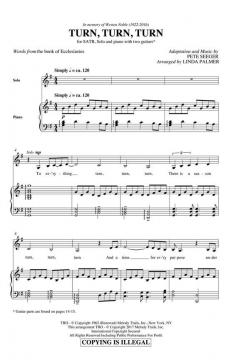 Turn, Turn, Turn von Linda Palmer 
