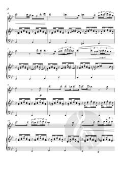 Ave Maria von Franz Schubert (Download) 