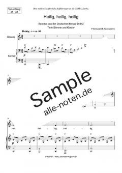 Zum Sanctus (Heilig, heilig) tief von Franz Schubert (Download) 