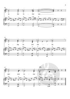 Zum Sanctus (Heilig, heilig) von Franz Schubert (Download) 