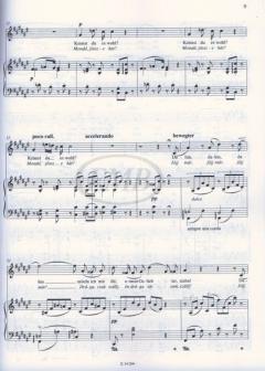 Selected Songs 2 von Franz Liszt 