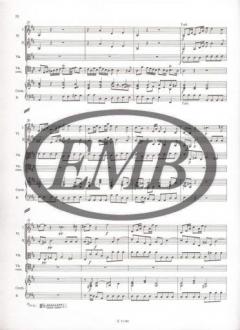 Concerto in Re maggiore von Giovanni Battista Martini 