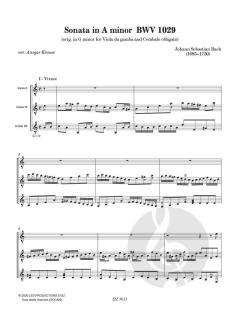 Sonata in A Minor BWV 1029 von Johann Sebastian Bach 