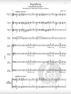 Werke für Männerchor und Orchester von Felix Mendelssohn Bartholdy im Alle Noten Shop kaufen (Partitur)