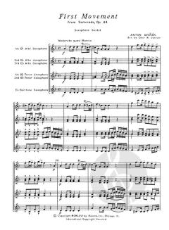 First Movement from Serenade, Op. 44 von Antonín Dvořák 